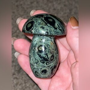 Kambaba Jasper Mushroom